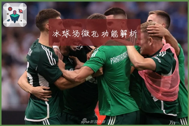 冰球场微孔功能解析