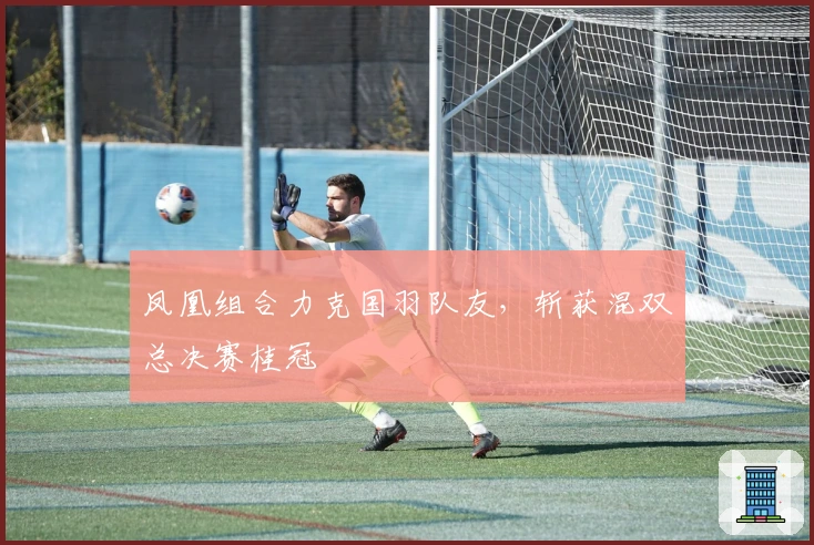 凤凰组合力克国羽队友，斩获混双总决赛桂冠