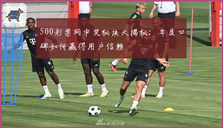 500彩票网中奖秘诀大揭秘：年度口碑如何赢得用户信赖