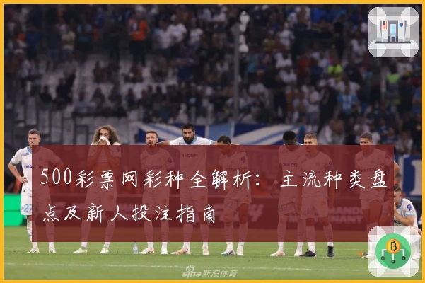 500彩票网彩种全解析：主流种类盘点及新人投注指南