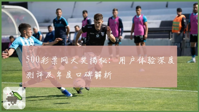 500彩票网大奖揭秘：用户体验深度测评及年度口碑解析