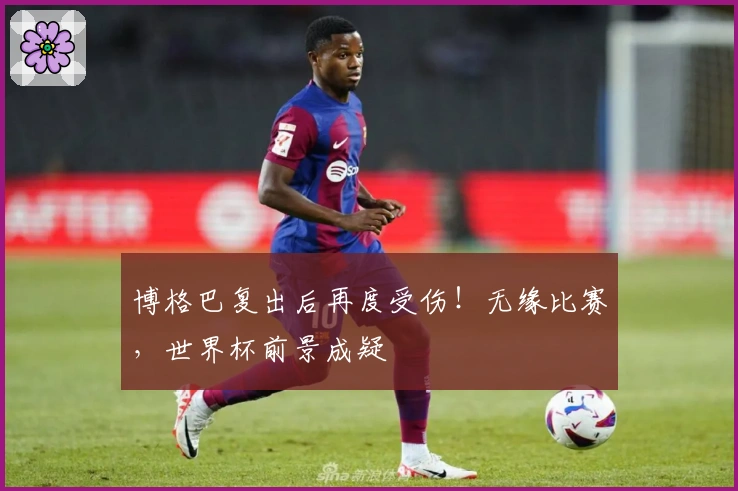 博格巴复出后再度受伤！无缘比赛，世界杯前景成疑