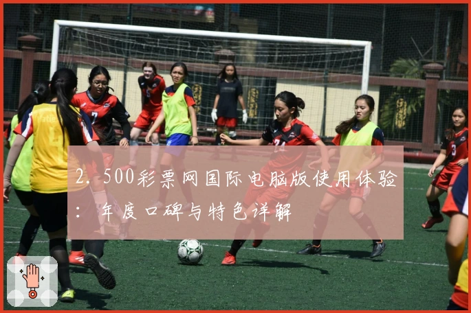 2. 500彩票网国际电脑版使用体验：年度口碑与特色详解